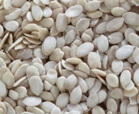 Pumpkin seed kernel