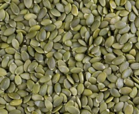 Pumpkin seed (smooth plate AA)