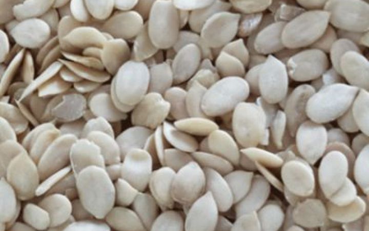 Pumpkin seed kernel